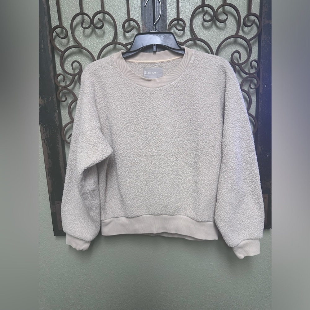 Everlane Renew oatmeal teddy bear crew neck pullover sweatshirt